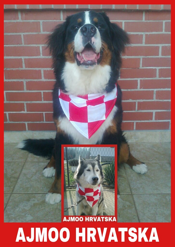 Ljubimac Bernie: Maramu sam naslijedio