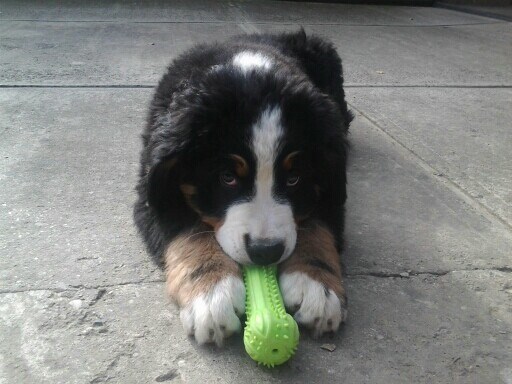 Mislite da ste me prevarili 