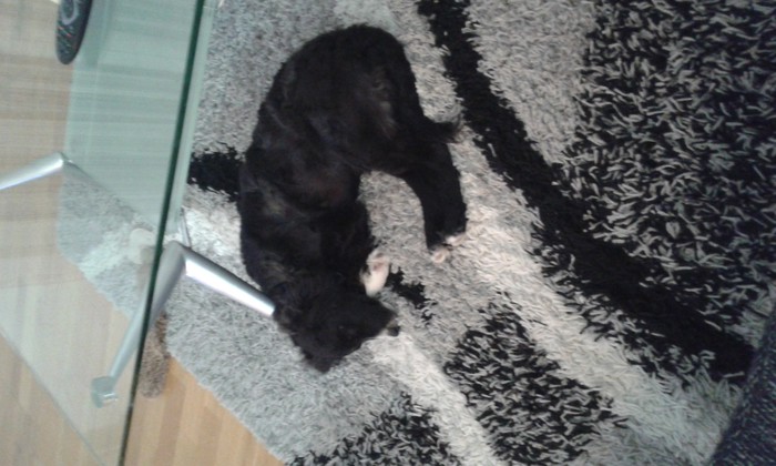 Blacky
