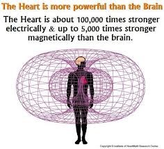 Srce je jače od mozga