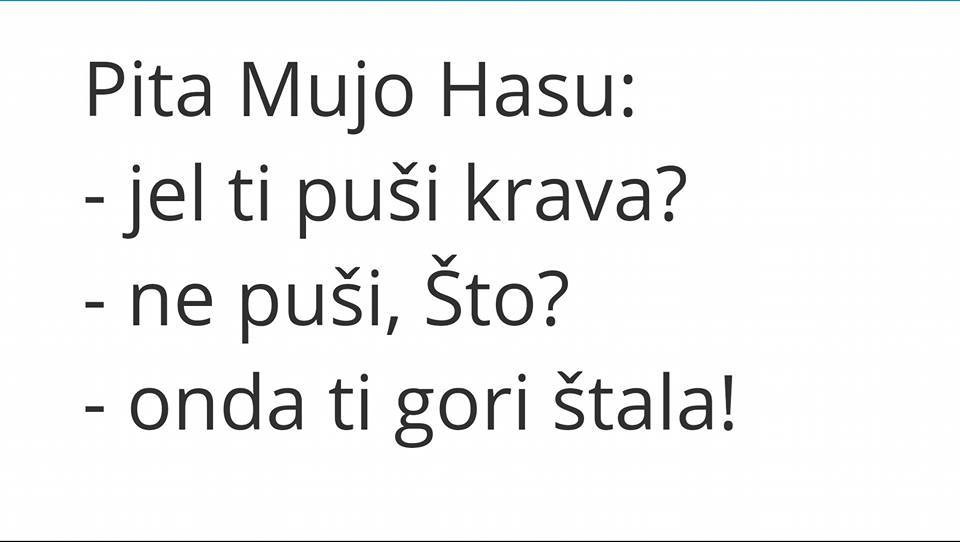 Jel ti puši krava...