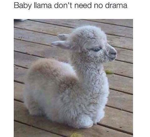 Lol.. how I'm feeling