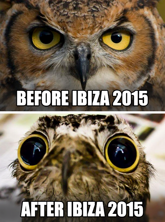 The Ibiza effect…