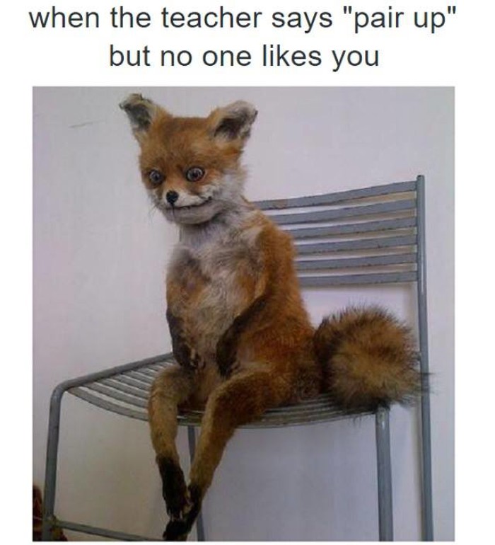 Forever alone
