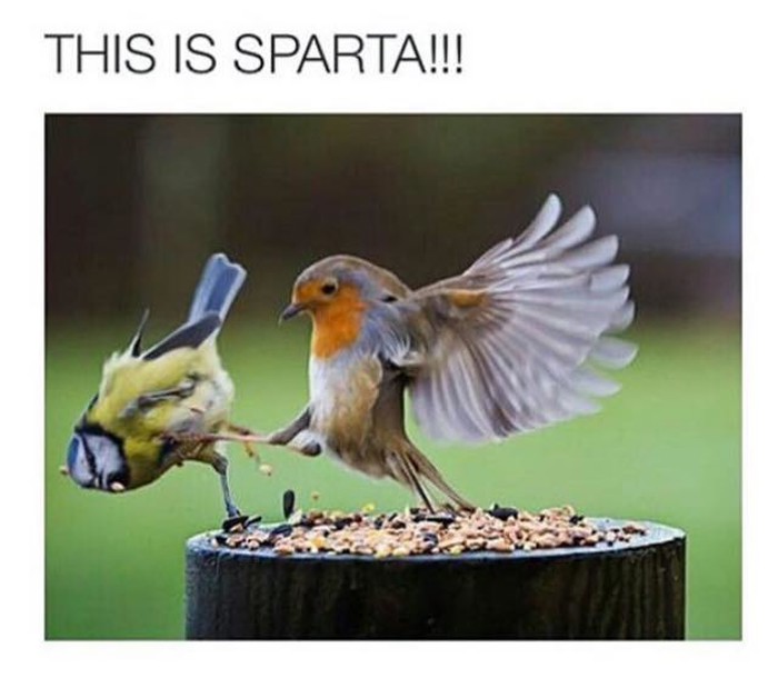 Lol 