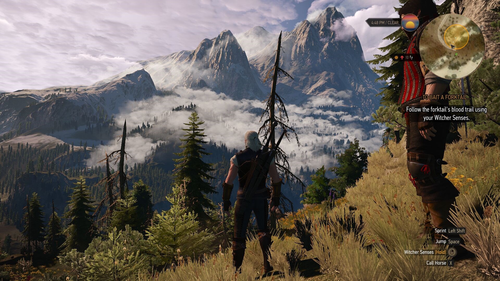 the witcher 3 