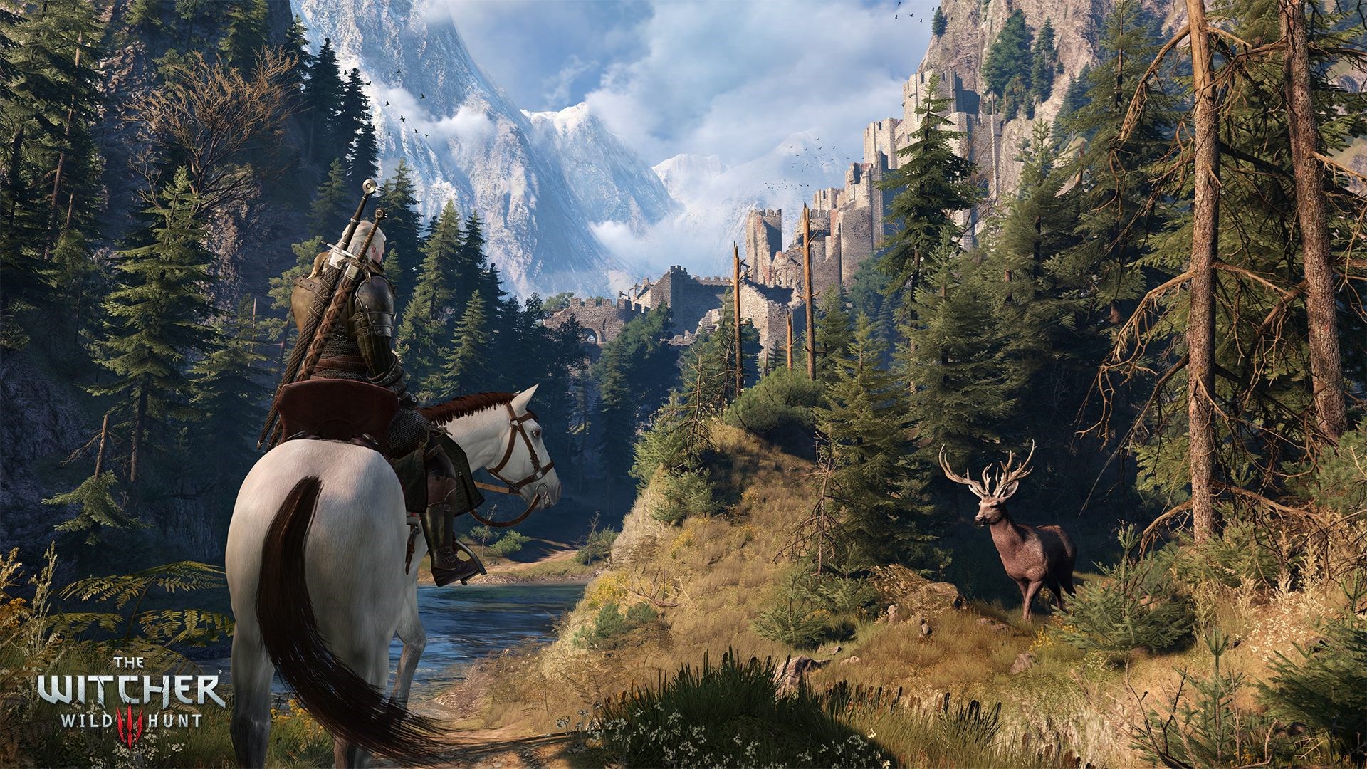 the witcher 3 wild hunt