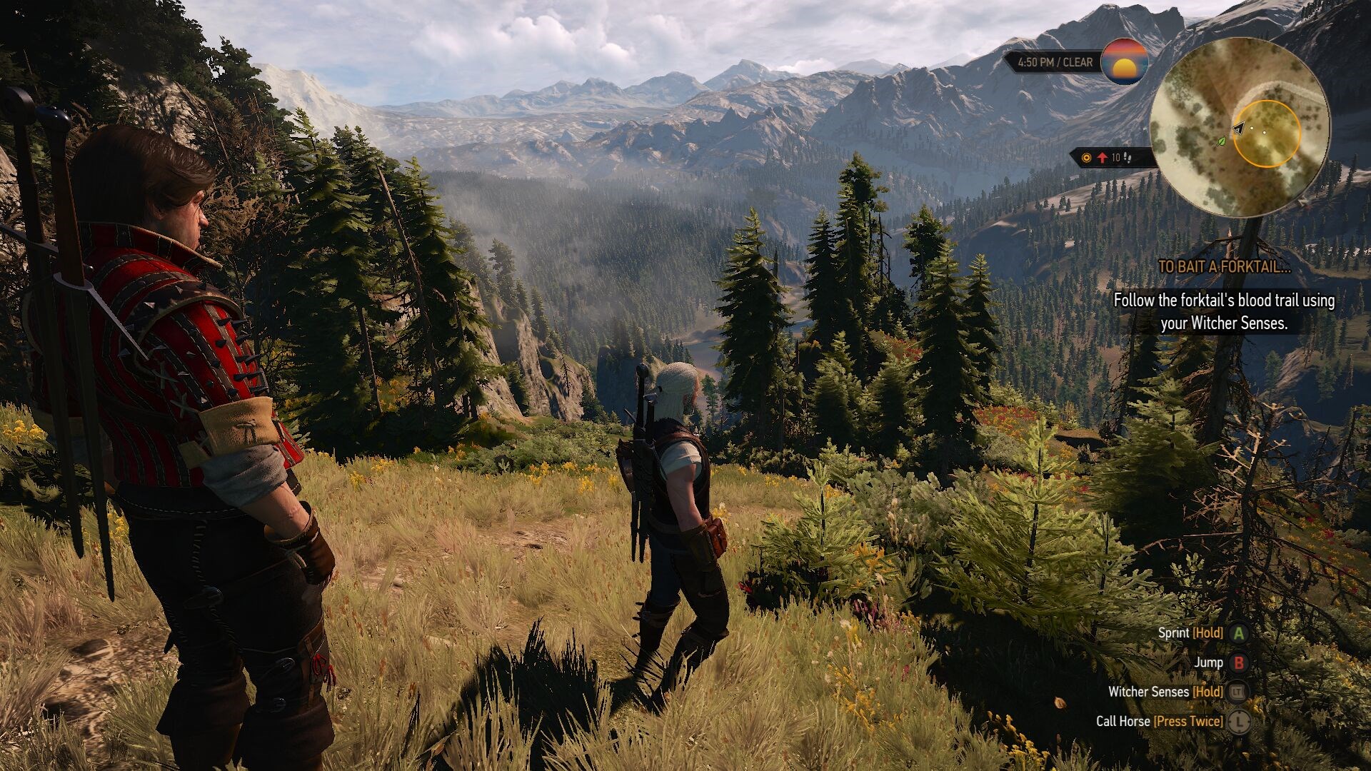 the witcher 3 wild hunt