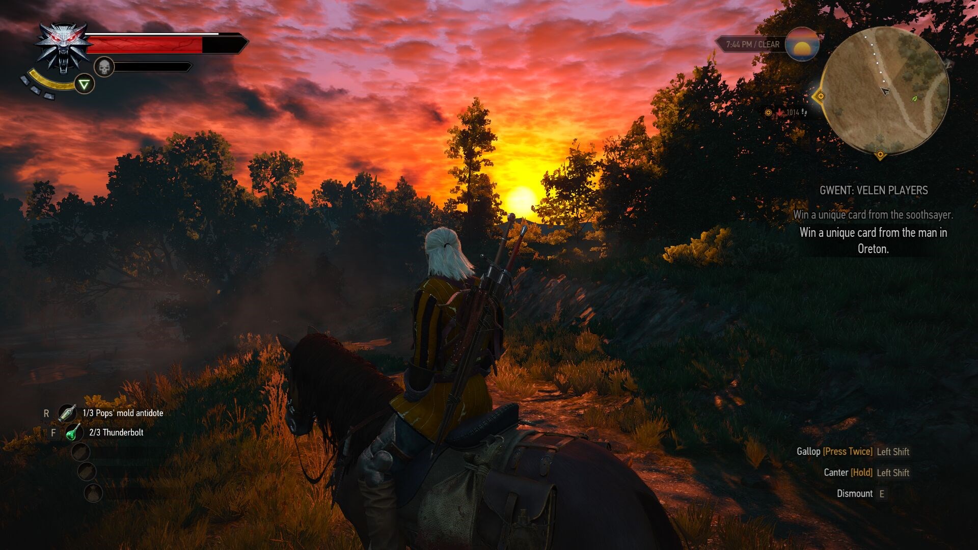 the witcher 3