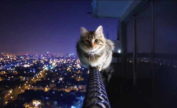 Living on the line