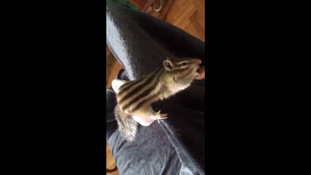 Charlie’s reaction to Cuban cigar