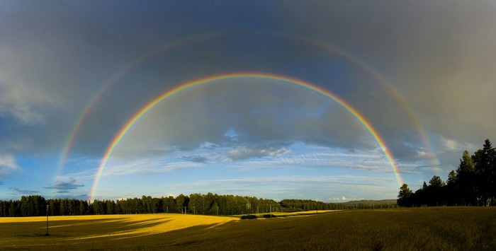 Dvostruka duga nad poljem
