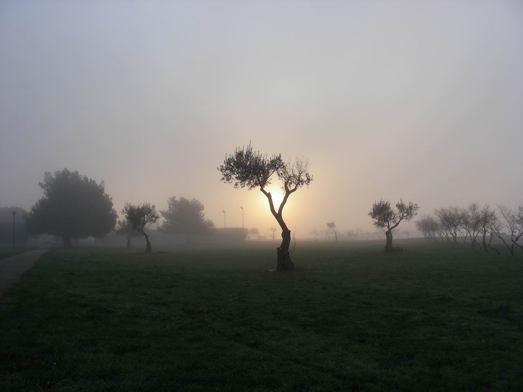 Izlazak sunca u Novigradu - Istra