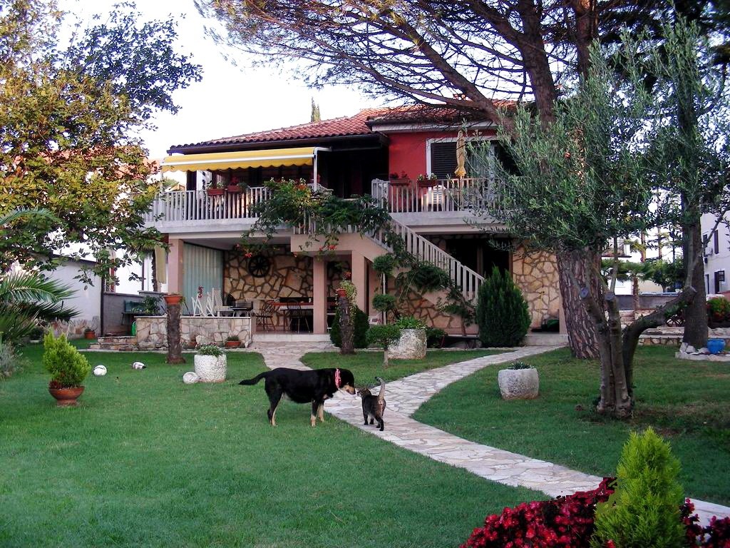 I, kako si mi danas, jesi li uhvatila što??