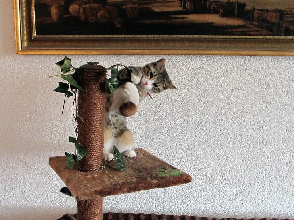 Još koji mjesec, pa čemo opet na plažu, moram vježbati..