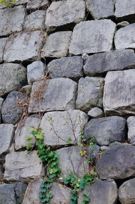 Ku ku.. ja tebe vidim!!!