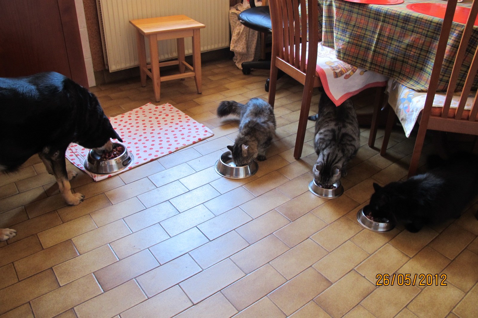 U slozi je moč - i nema gladi