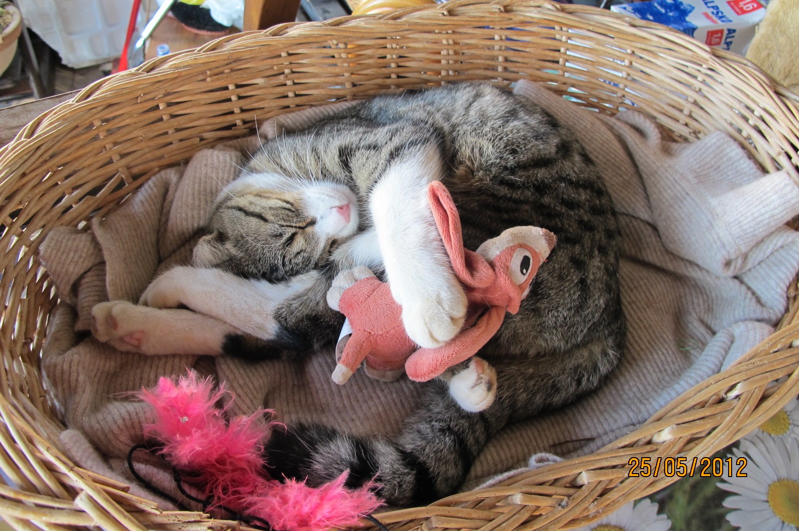 nakon napornog vježbanja - zasluženi odmor s frendom