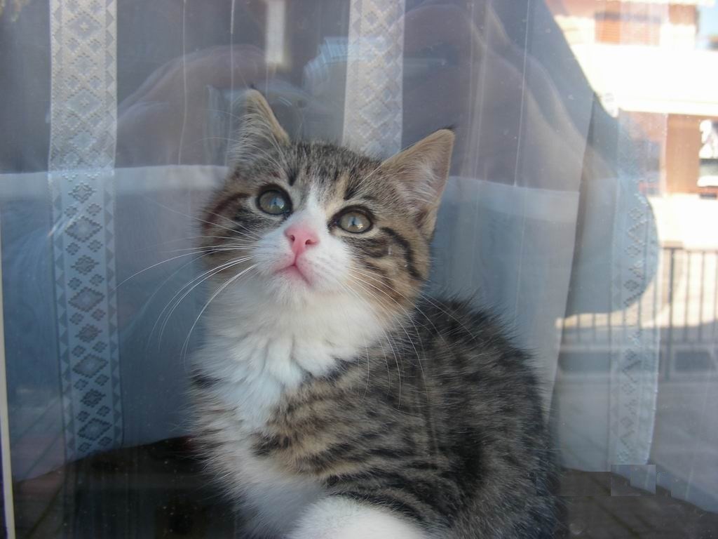 Uf, što mrzim ovo vrijeme, pe me ne pusti mama van...