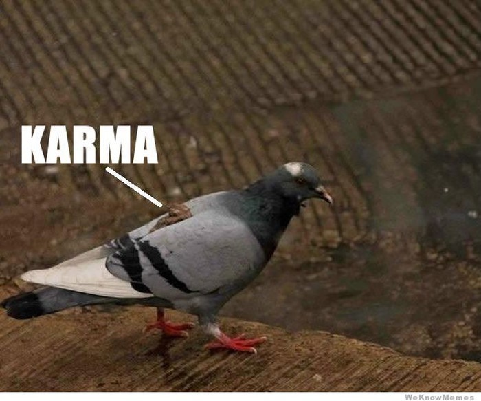 Karma