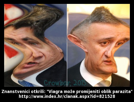 Viagra može promijeniti oblik parazita