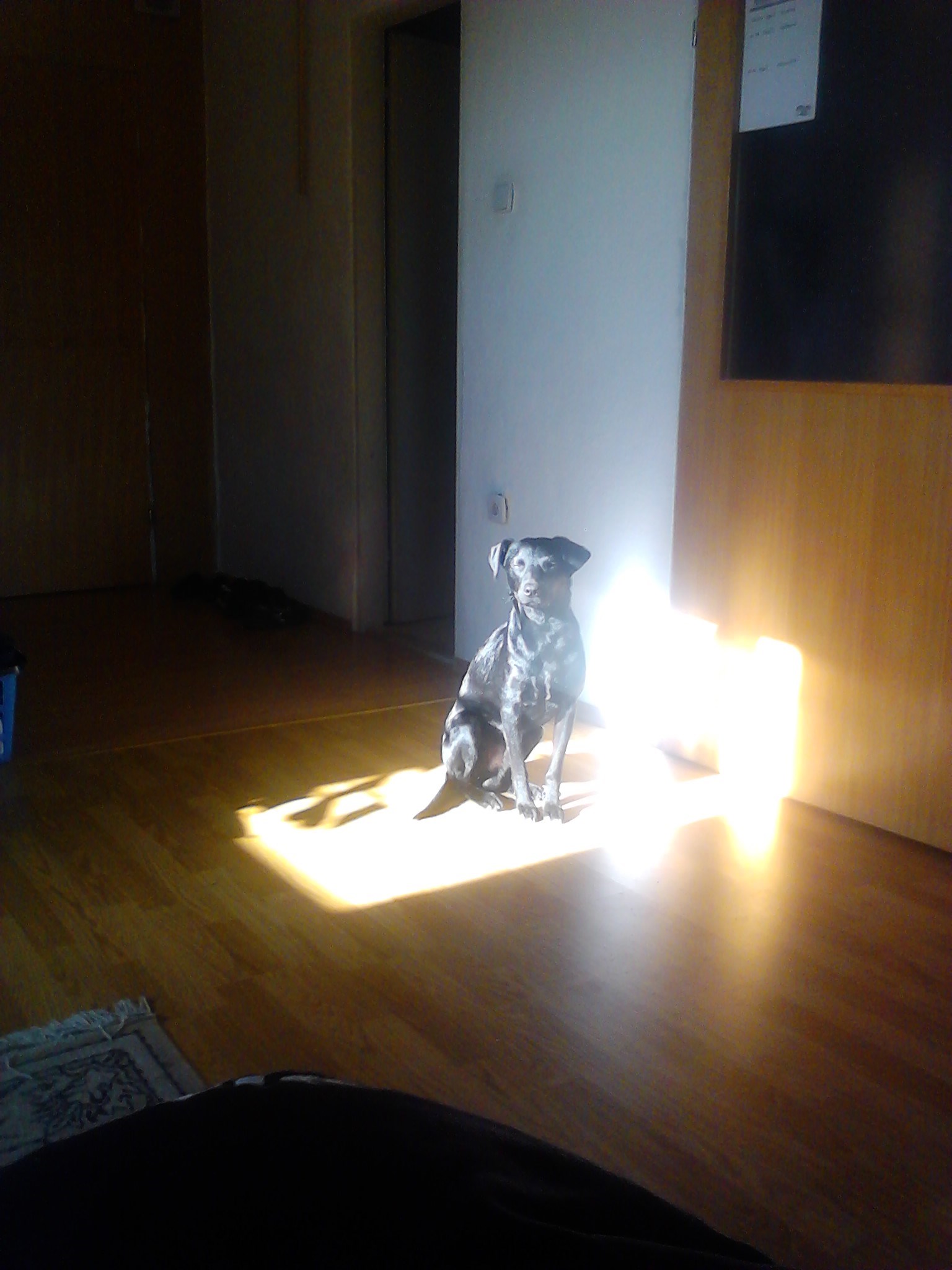 Obožavam sunce.....