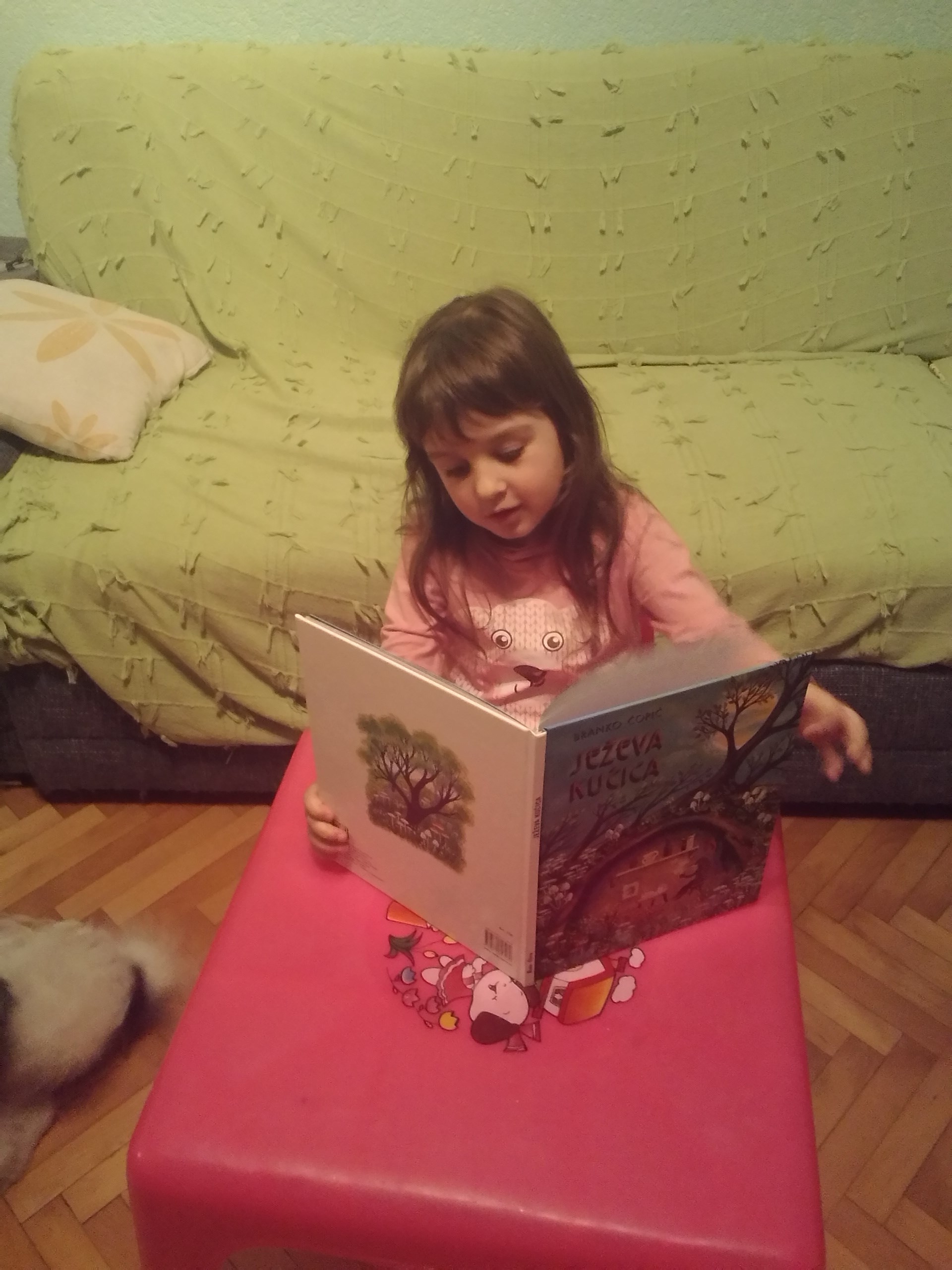 Ježurkove i Emine pustolovine