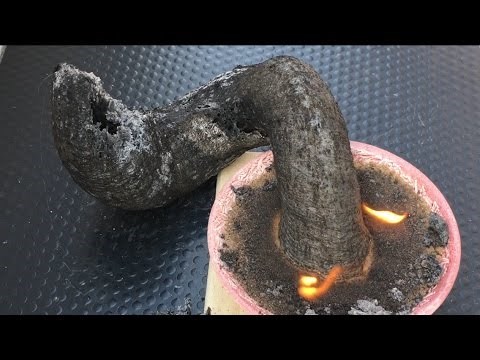 Black Fire Snake Science Experiment - Feuerschlange