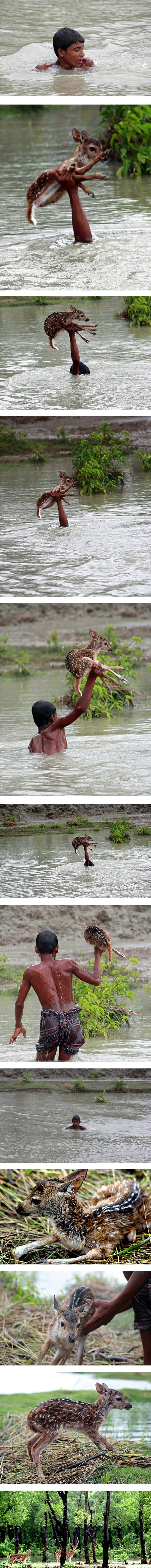 Hrabri dječak spasio lane od utapanja!