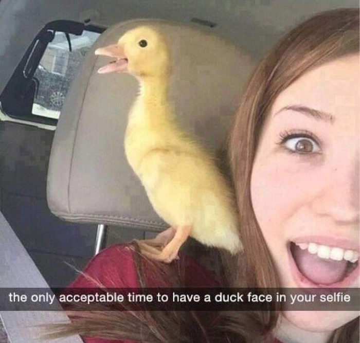 Jedini prihvatljivi duck face na fotki