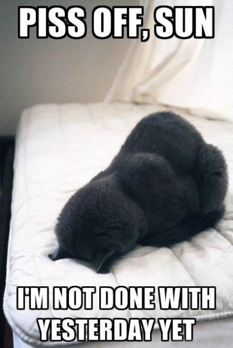 prerano je za danas, a još se ni ne radi