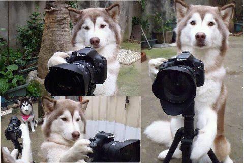 Nemam blage šta radim, al mala ispala si bomba!