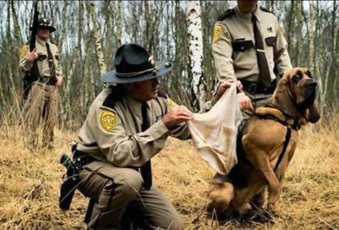 Ma jebi se s tim gaćama, nađi si ga sam!