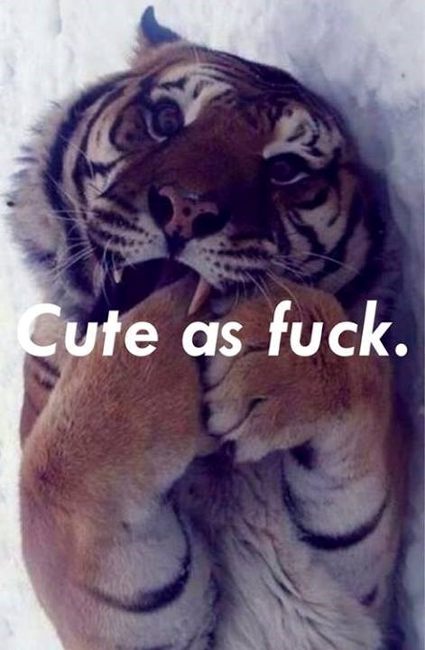 Mene slikaš, kaj sam tak slatka?