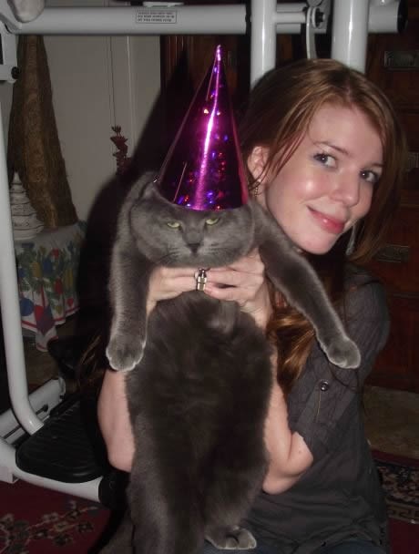 Ova mačka i vlasnica zabavu doživljavaju jako različito