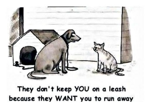 pas mentalno nestabilnu mačku gura preko ruba