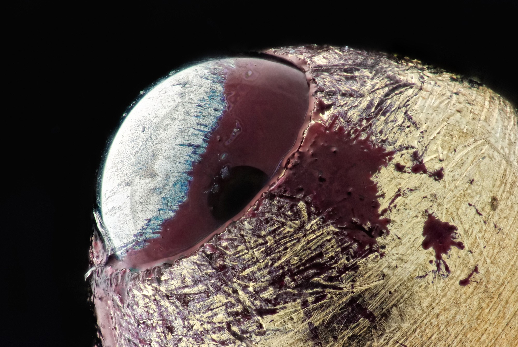 Vrh kemijske olovke jako izbliza