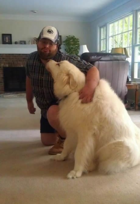 Mješanac psa i polarnog medvjeda