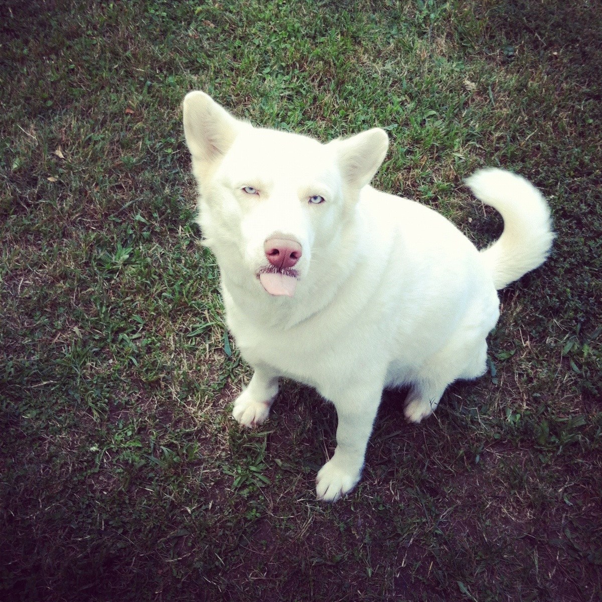 Radim šta mi se sprdne i ne možeš mi ništa