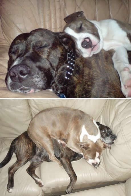 Tupsone, bilo je slatko kad si bio mali