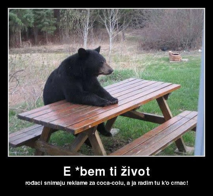 Diskriminacija crnog medvjeda zbog boje krzna