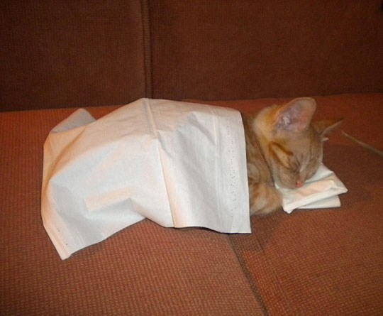 Malo joj za sriću tribaaaa...