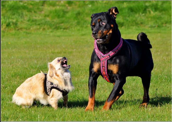 A daj, pa bojim se kad si takav, daj nemoj!