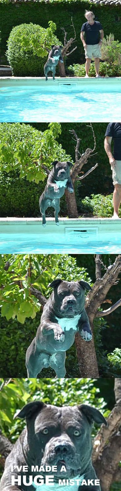 Shvaćanje ga je udarilo naglo poput batine