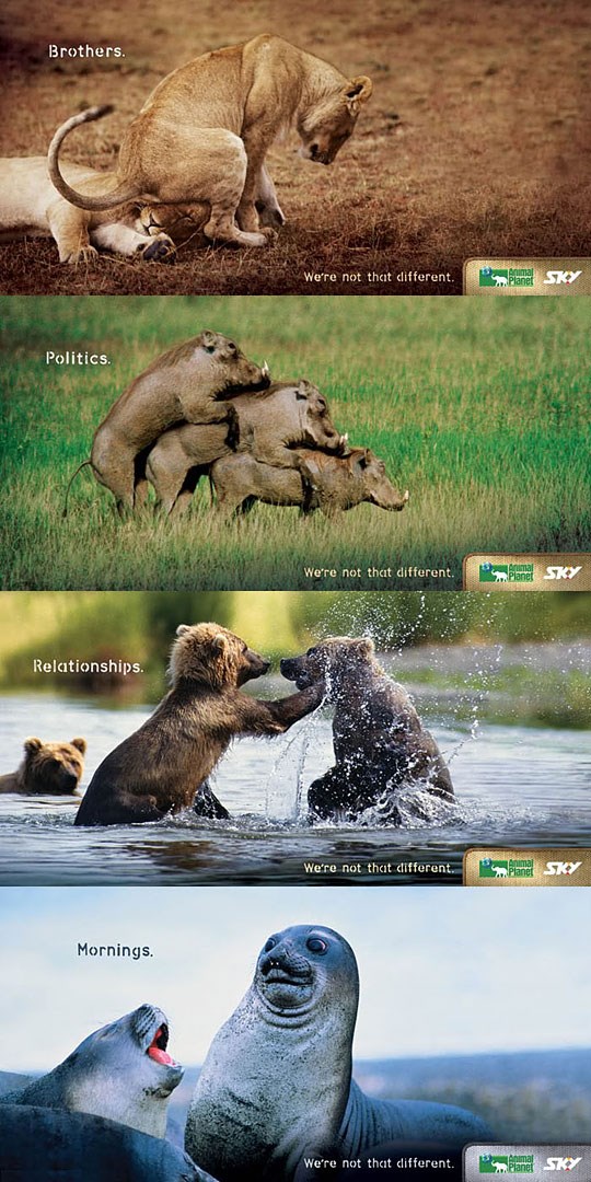 Nismo tako različiti