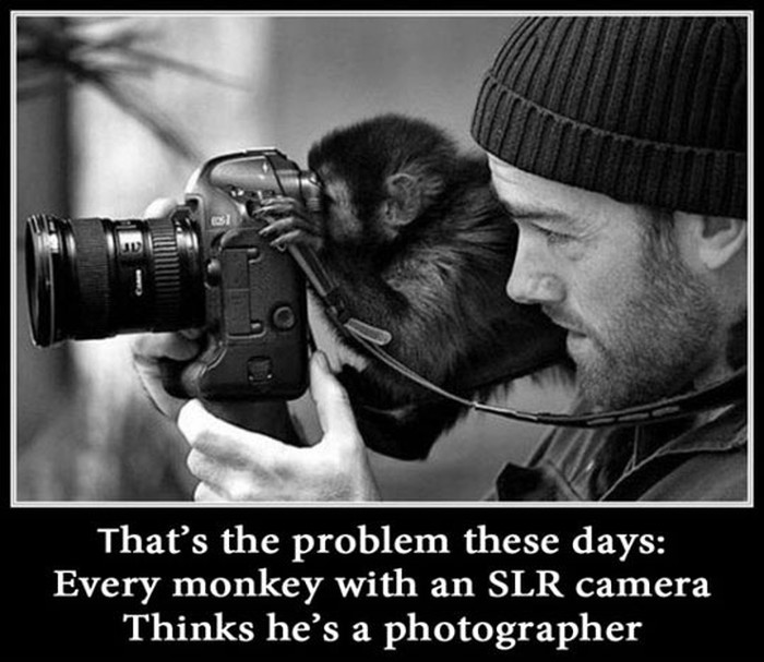 Većina misli da je biti fotograf Camera go click! i gotovo