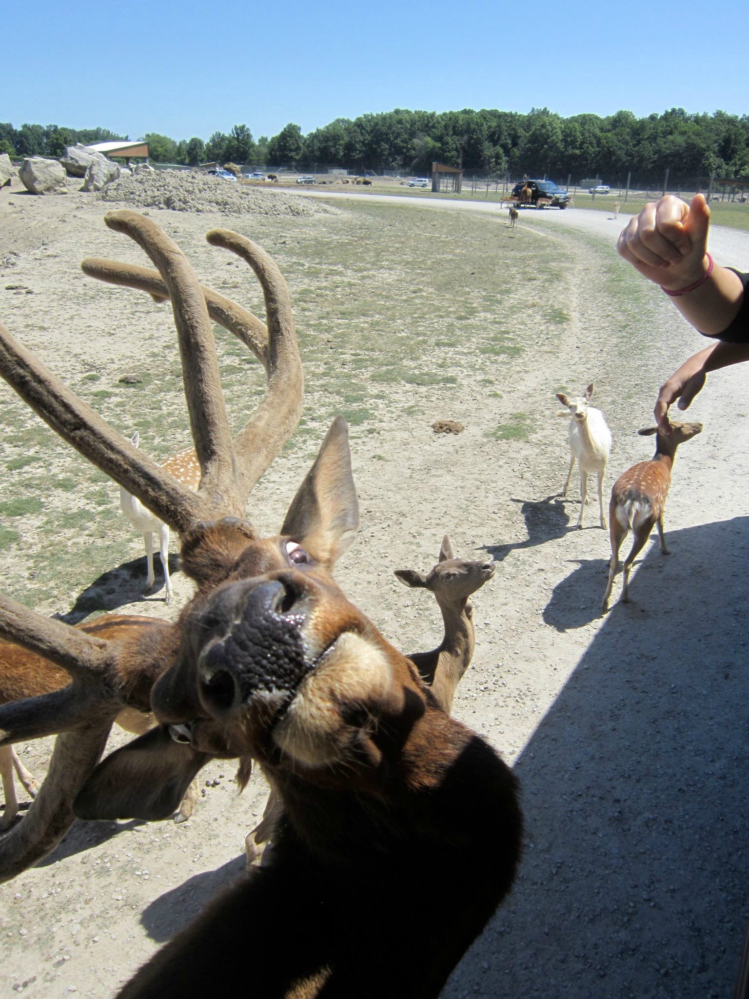 Marš, nema fotkanja, daj aparat!