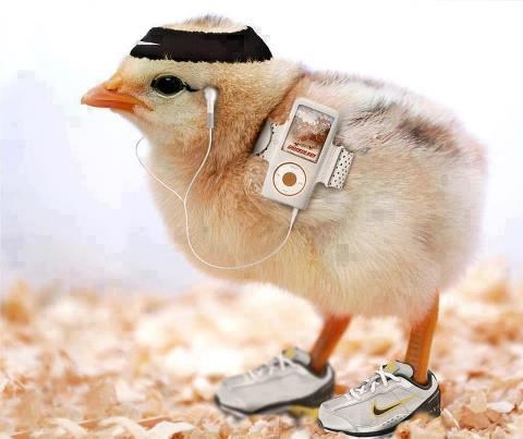 Fitnes pile smanjuje batak da ga ne pojedu