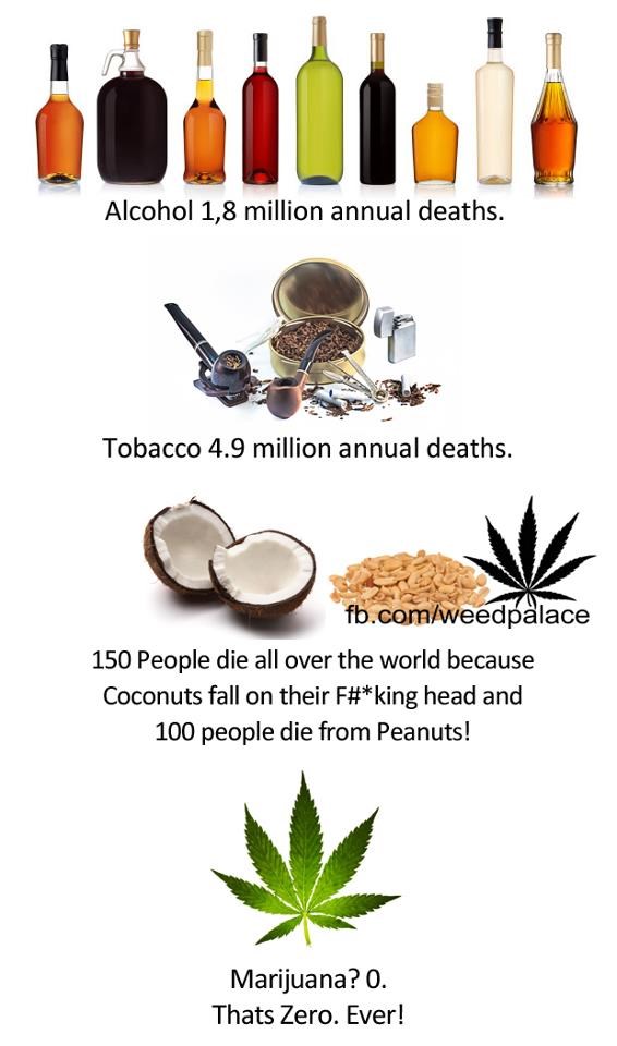Koliko ljudi umire od marihuane?