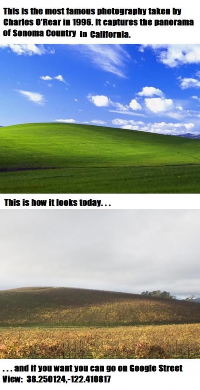 "Windows" livada nekad i sad